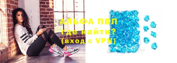 PSILOCYBIN Каменка
