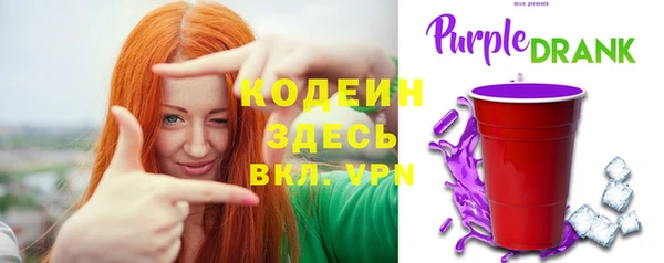 крисы Инта