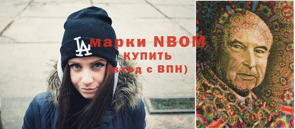 PSILOCYBIN Каменка