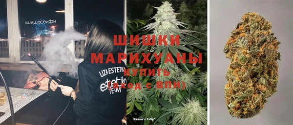 крисы Инта