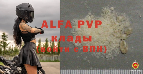 крисы Инта