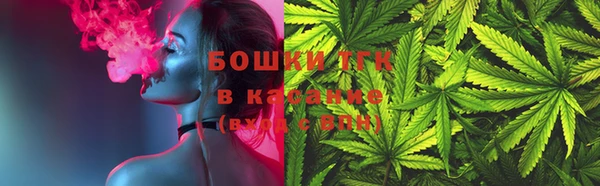 крисы Инта