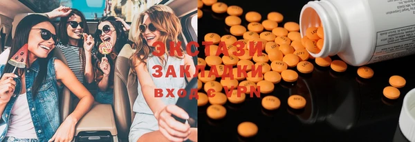 крисы Инта